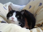 みおちゃん