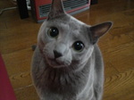 ほく君