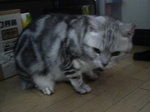 そらくん