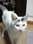 ぶーくん