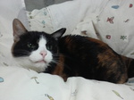 みおちゃん