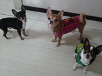 ソラ君&ハル君&リク君