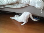 おこめさんのびのび〜