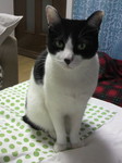 がじろうさん