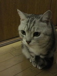 そらさん