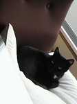 スージーちゃん