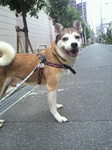 ケイくん