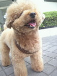 COCOさん