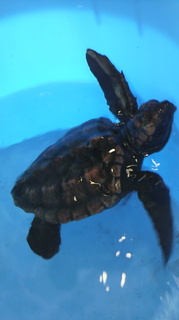 2010102413280001.jpg