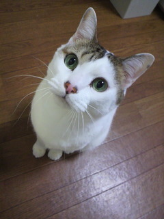 2010103009030000.jpg