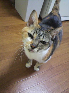 2010103009030001.jpg