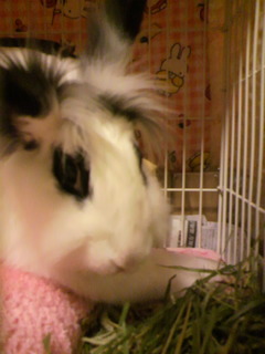 2010110118450000.jpg