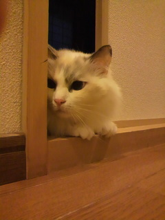 2010111117140000.jpg