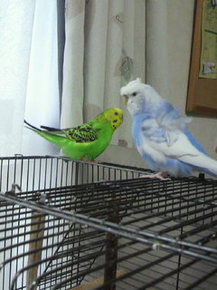 2010111514190000.jpg