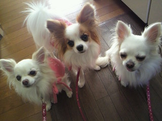 2010120414440001.jpg
