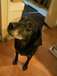 2010120518290000.jpg