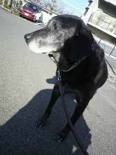 2010120609590000.jpg