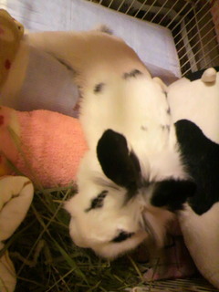 2010121606550000.jpg