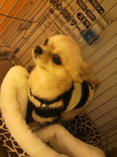 2010123111180000.jpg