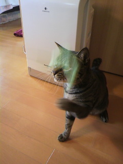 2011010114460000.jpg