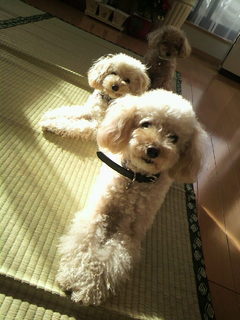 2011010209080000.jpg