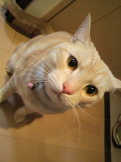 2011010215310000.jpg