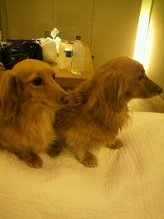 2011010318230000.jpg