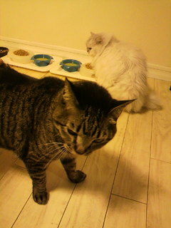 2011010614070002.jpg