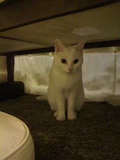 2011010817000001.jpg