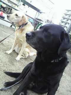 2011022315020000.jpg
