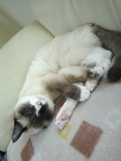 2011022315220000.jpg