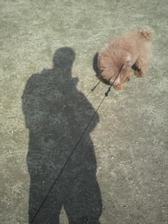 2011022512270001.jpg