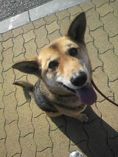 2011031315280000.jpg