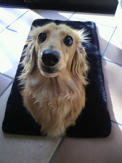 2011032008410000.jpg