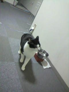 2011032318250000.jpg