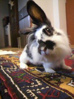 2011032406410000.jpg