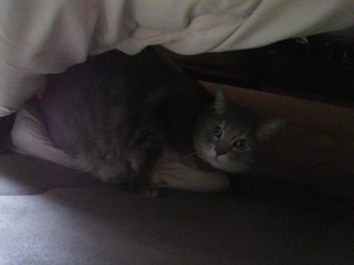 2011040311480000.jpg