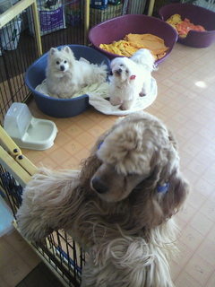 2011040409500000.jpg