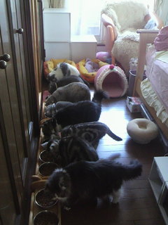 2011040410150000.jpg