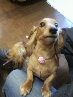 2011040617020000.jpg