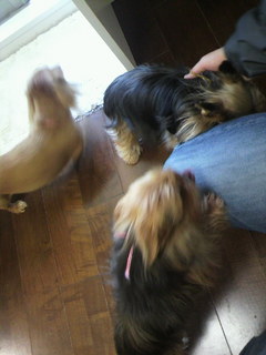 2011040617020001.jpg