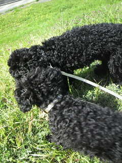 2011041314210000.jpg