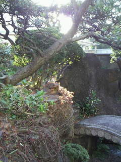 2011041417190000.jpg