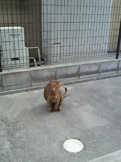 2011041810150001.jpg
