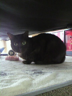 2011050210270000.jpg