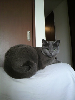 2011050214460001.jpg