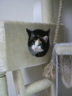 2011050316330000.jpg