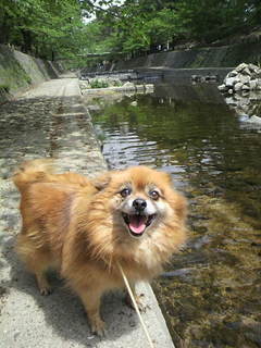2011050410480000.jpg