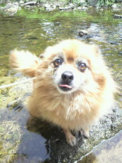 2011050410490001.jpg