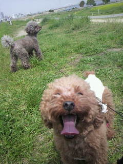 2011050413420000.jpg